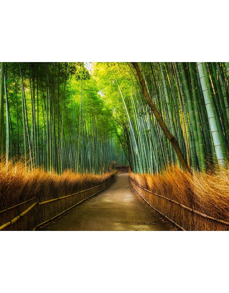 Fotobehang Bamboo 232 cm x 315 cm