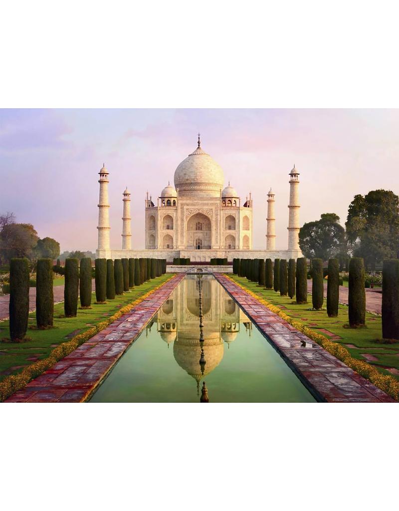 Fotobehang Taj Mahal 232 cm x 315 cm